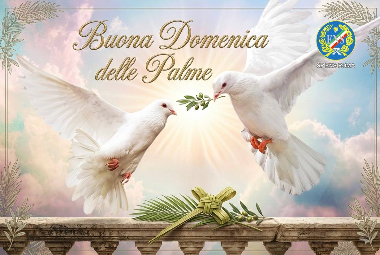 festa palme 26